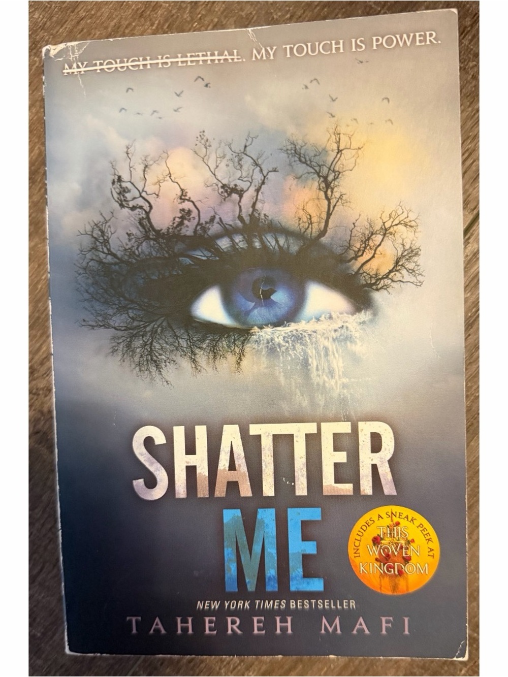 Shatter Me